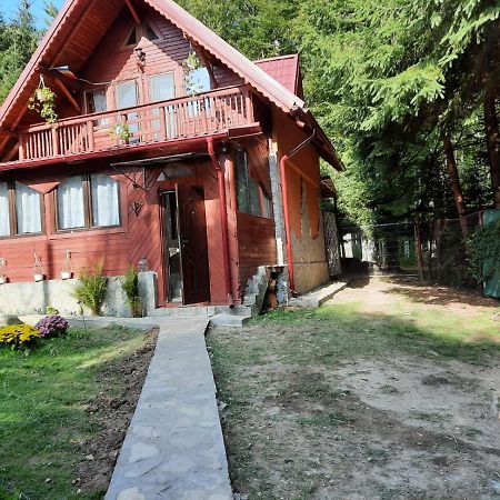Casuta Paterau Cheia, Prahova Villa Cheia  Exterior photo