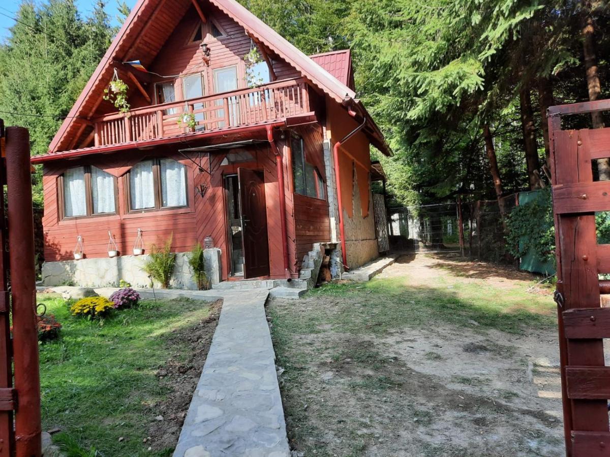 Casuta Paterau Cheia, Prahova Villa Cheia  Exterior photo